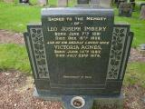 image of grave number 258468